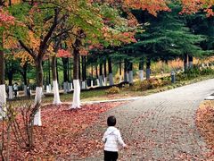 -白塘生态植物园