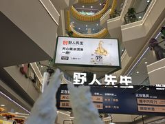 -野人先生Gelato(上海长宁龙之梦店)