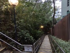 -九龙公园