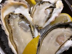 -深蓝金枪·深海鱼刺身(吉大店)