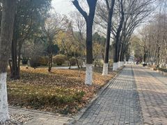 -山东大学(趵突泉校区)