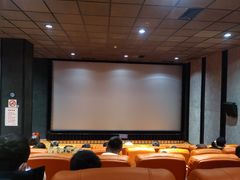 -华美国际影城(旧宫永辉店)