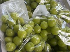 -马陆小张葡萄园农家乐