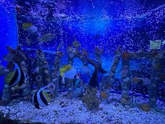 -太平洋海底世界