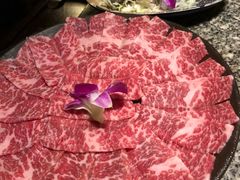 -养心殿台式养生锅(铜锣湾店)