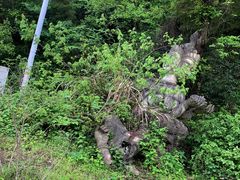 -杭州灵山景区