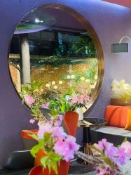 -花隐·美芙炫海菲秀皮肤管理中心