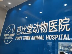 -芭比堂动物医院·CT·微创中心(新顺分院)