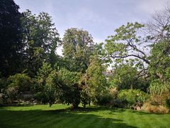 -牛津大学贝利奥尔学院