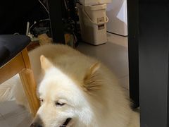 -肆兮眼镜·蔡司·徕卡战略合作店(大坪店)