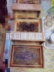 点击看大图 -升艾堂亚健康调理中心