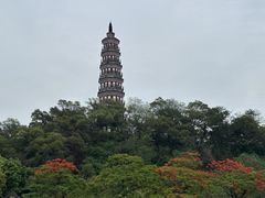 -顺峰山公园