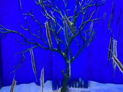 -多彩贵州城极地海洋世界