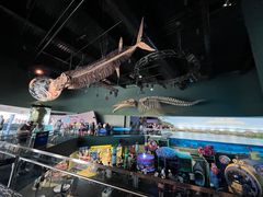 -瑞普利水族馆