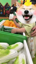 -莫莉幻想儿童乐园(武汉保利广场店)