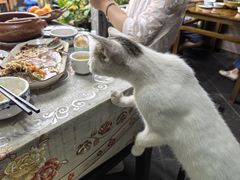 -龙姐私房菜(和顺古镇店)