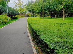 -洨河生态公园
