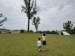 -新江湾城公园