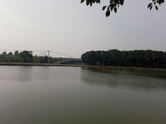 -广富林郊野公园