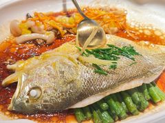 鸡汁珍菌蒸黄鱼-南棠馆粤菜坊(群光店)
