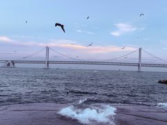 -星海广场