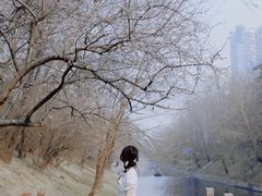 -北京丽景湾国际酒店