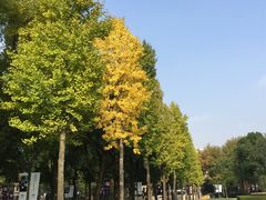 -Onirii Coffee(长乐路店)