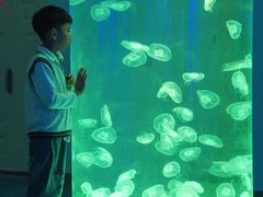 -福州罗源湾海洋世界旅游区