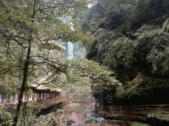 -碧峰峡风景区
