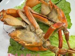 -八府香鸭·啫啫煲(华山路店)