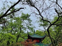 -岳麓山风景名胜区