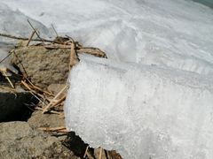 -白渔泡湿地公园