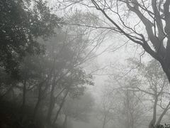 -北仑森林植物园