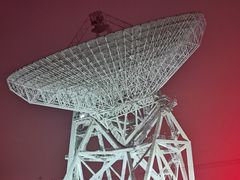 -马陆小张葡萄园农家乐