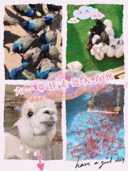 -萌宠亲子动物乐园(槐房万达店)