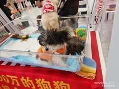 -北京华联购物中心(天通苑店)