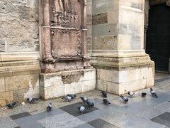 -斯蒂芬主教座堂(Stephansdom)