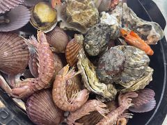 -巧克力渔家.小船海鲜胶东菜(万平口店)