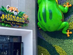 -海合安成都极地海洋公园