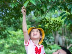 -福建鲤鱼洲酒店