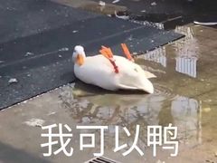 -家琳甜品(江南东店)