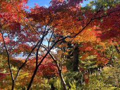 -常寂光寺