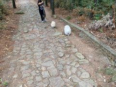-缥缈峰景区