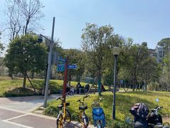 -神仙树公园