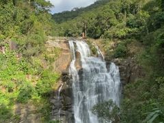 -海南热带雨林国家公园吊罗山景区