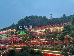 -枇杷园食为鲜火锅(南山店)