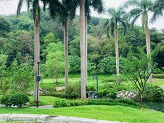 -云溪植物园