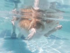 -趣玩宠物乐园寄养训犬训狗游泳池