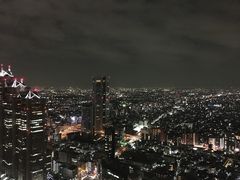 -东京都厅舍