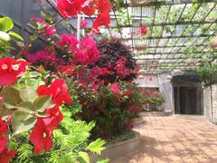 -万佳国际酒店-阳光空中西餐厅(石狮服装城店)